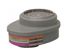 MSA Advantage® Chlorine/Mercury Vapor/P100 Cartridge - 2 Pack