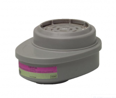 MSA Advantage® Iodine Vapor/P100 Cartridge -2 Pack