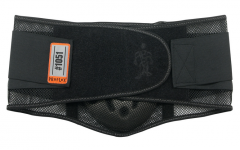 ProFlex 1051 Mesh Back Support